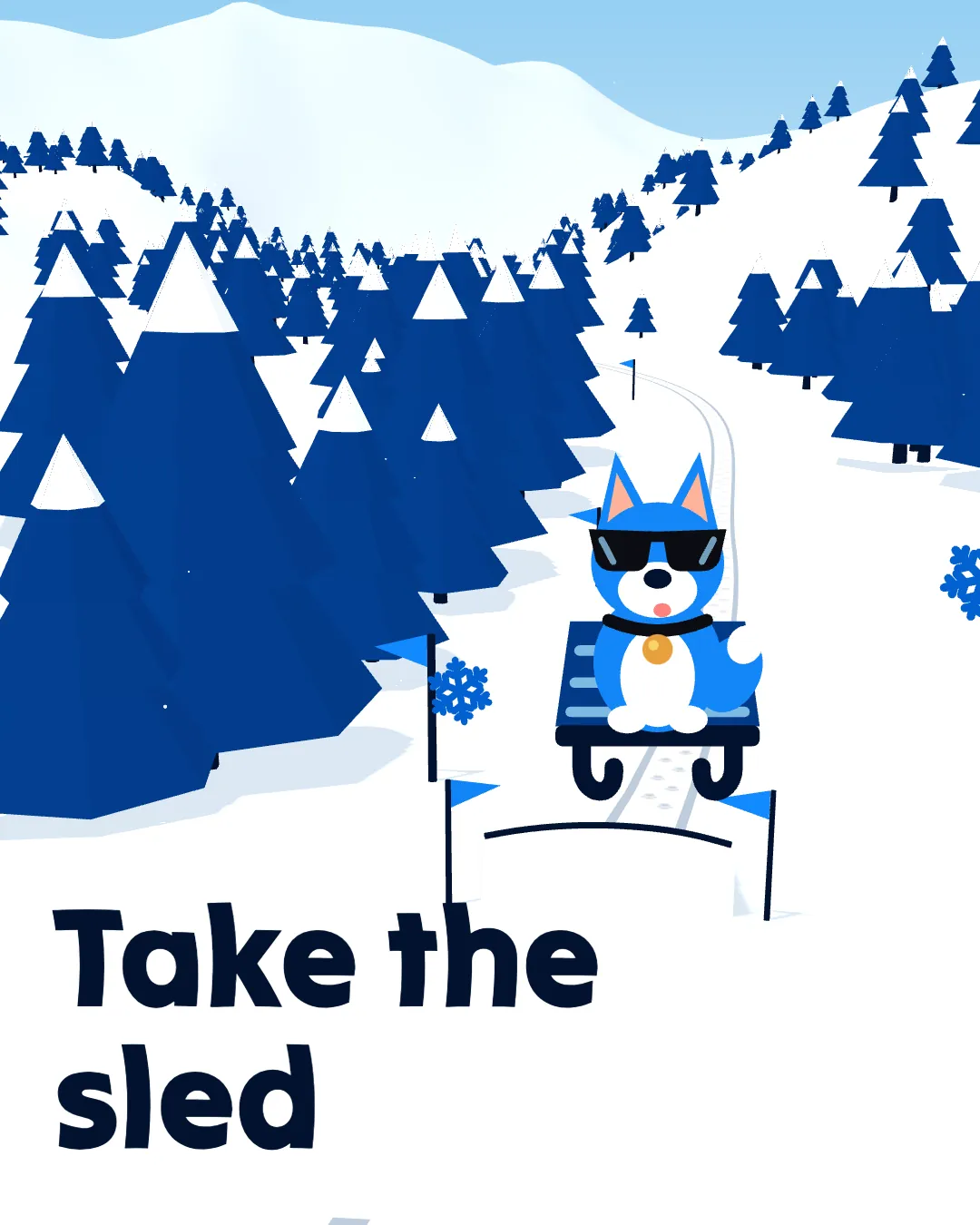 Bluzo on his sled